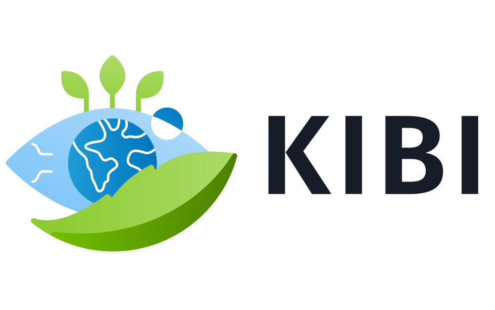 KIBI Logo